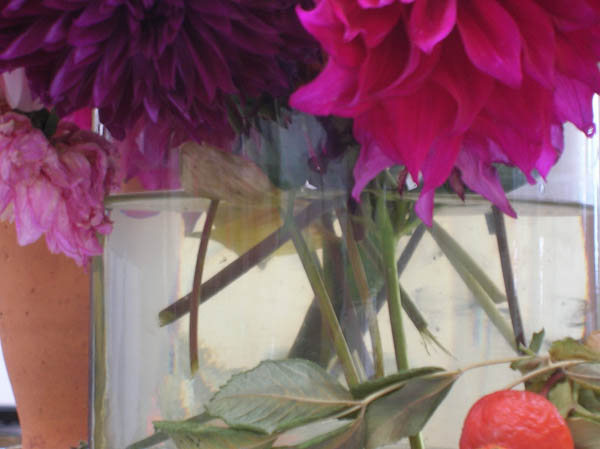 Hannah Rogers - gallery - Flowers for Painting